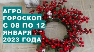 Агрогороскоп с 08 по 12 января 2023 года Агрогороскоп з 08 по 12 січня 2023 року