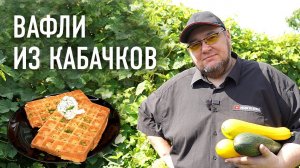 ВАФЛИ ИЗ КАБАЧКОВ - лучший рецепт