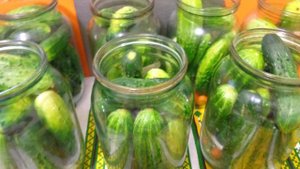 Быстрая закатка огурцов