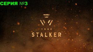 True Stalker/ Настоящий сталкер / Прохождение/ серия 3