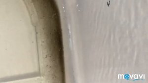 Поиск стружки в топливном фильтре и форсунках MAN Common Rail