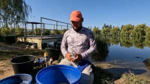 Прикормка для фидера. Полное руководство. Как правильно замешать? Что добавлять? И многое другое.