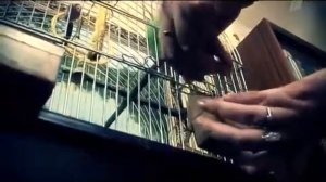 Среда обитания  Выбираем посуду