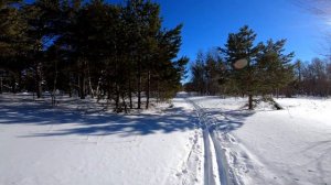 Прогулка на лыжах, в зимней сказке.