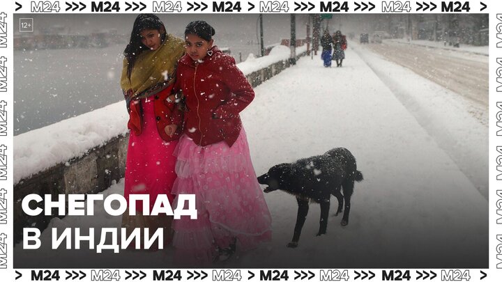 Высота снежного покрова в Индии составила более 2 метров: Новости мира - Москва 24 смотреть онлайн