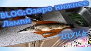 Рыбалка в Карелии 2016 Озеро верхнее Лампи Fishing in Karelia 2016 Lake Superior Lumpy