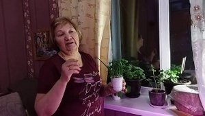 РАЗМНОЖЕНИЕ АЛОЭ И ГЕРАНИ!