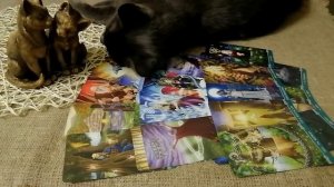 Что он думал обо мне сегодня?