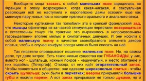 Откуда мода таскать с собой маленьких псов (Коммент)