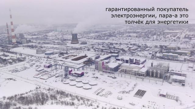 33 коровы. донбиотех Волгодонск. Volgodonsk. новости