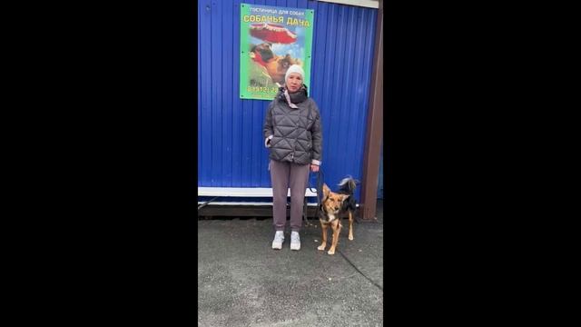Отзыв о гостинице Собачья Дача