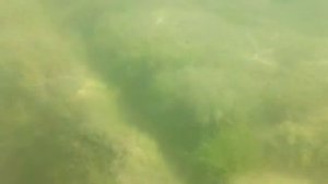 ШОК! Что лежит на дне чёрного моря!General Electric DV1. The Black Sea, "Gold Coast" under water.