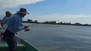 Рыбалка в Дельте Волги на Раскатах Каспия??