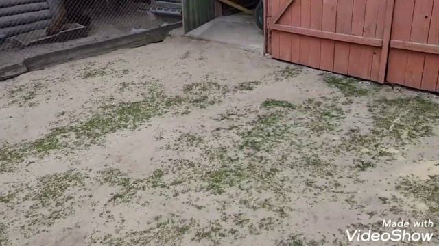 Сільські будні-готую поросяткам Сельские будни-готовлю поросятам смотреть онлайн