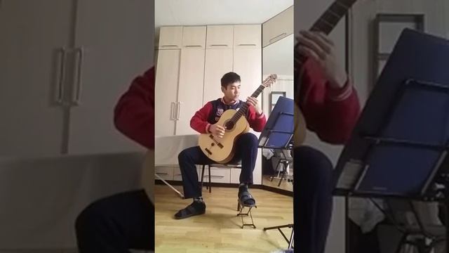 Уроки игры на гитаре в Новосибирске 8-993-026-72-59 смотреть онлайн