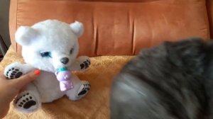 Обзор МИШКИ от  FuRReaL Friends!