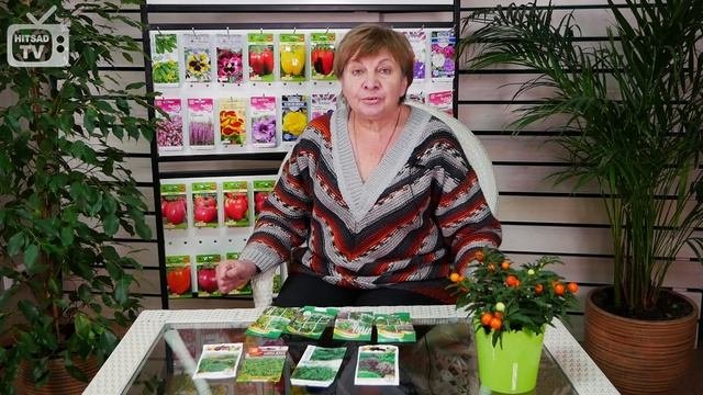 Приправы и специи ? Кухонные травы ? Что вырастить на подоконнике?