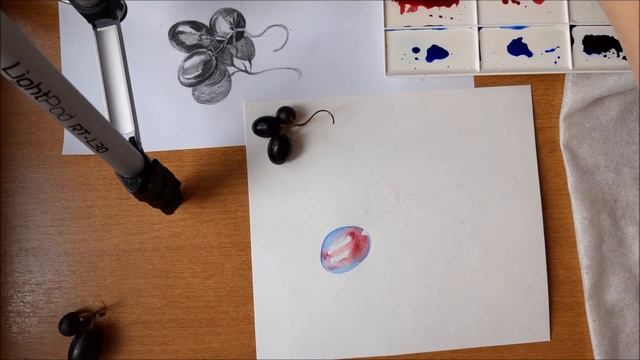 Рисуем Акварелью. Виноград смотреть онлайн