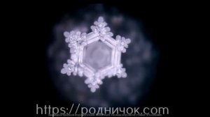 Структурированная вода под микроскопом. Формирование снежинки.