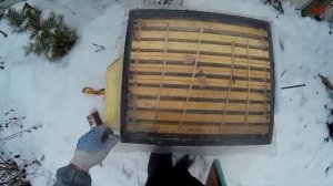 пчеловодство ЗИМОВКА НА ВОЛЕ в ульях ППС и ППУ контроль сырости (записки новичка)