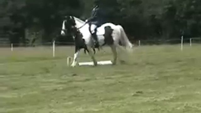 Prelim 7 Oakwood Park 17/06/2007 смотреть онлайн