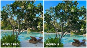 Google Pixel 7 Pro VS Gopro Hero 11 Black | Camera Test & Comparison