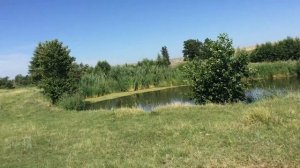 Саратовская область, Красноармейский район. Каменский. 02.08.2018, 09:32