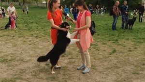 Нужно ли заводить СОБАКУ для РЕБЁНКА?