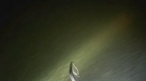 ПОДВОДНАЯ ОХОТА взял судака в Тольятти Копылово гряда