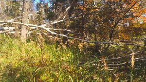 Траверс Пидан - Фалаза. #zwuzhere