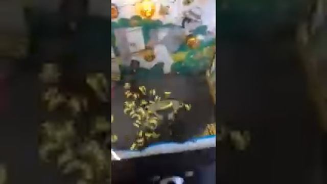 Buzzy Bee Ticket Redemption Arcade Game смотреть онлайн