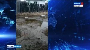 Руководство дачного общества «Подсинее» затопило участки. Мобильный Репортёр