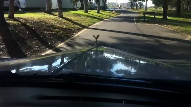 1983 Rolls Royce Silver Spur Test drive смотреть онлайн