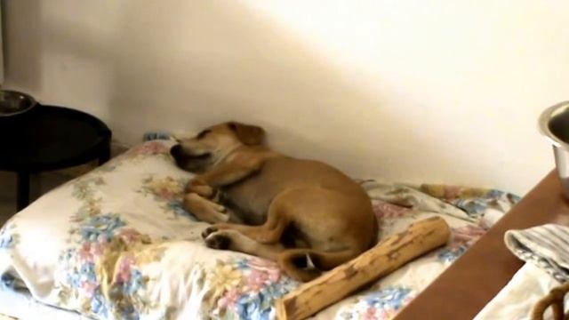 Во сне дети растут... смотреть онлайн