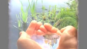 Заболел у Матери Ребенок - Georgios Michailidis ( cover )