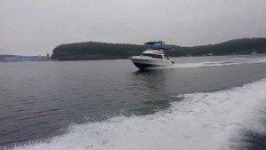 Bayliner 2556