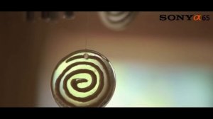 Sony Alpha SLT-A65 with Sony DT 50mm f/1.8 SAM - Video Demo