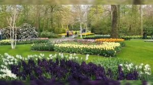 Keukenhof Lisse the Netherlands