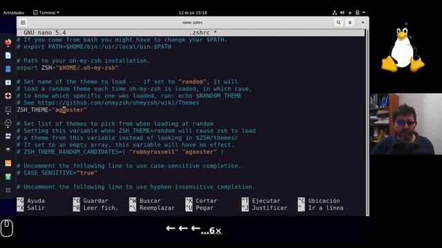Instalar zsh + oh my zsh + Powerlevel10k en Linux Debian 11 Bullseye [V398] смотреть онлайн