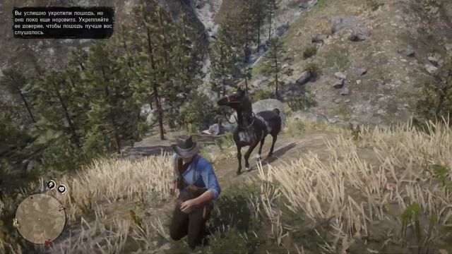 Где найти на карте всех арабских лошадей в Red Dead Redemption 2