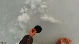 Как прикармливать рыбу зимой . Основные способы