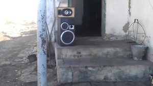 Амфитоны АС 25 и китайский усилитель без доработок UKS