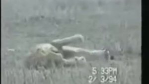 Лев ли это агония смерти настигла его.