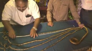 Что будет если не стричь ногти