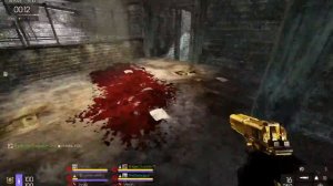 KF2 CD | Gunslinger | asl_v3 Precision 72 MM | West London | 700K Damage / 181 Large