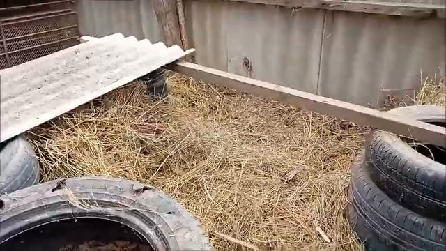 Увеличиваем жилплощадь поросятам :) Новая Жизнь РоМашки смотреть онлайн