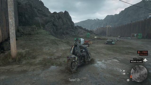 Days Gone Прохождение (7)