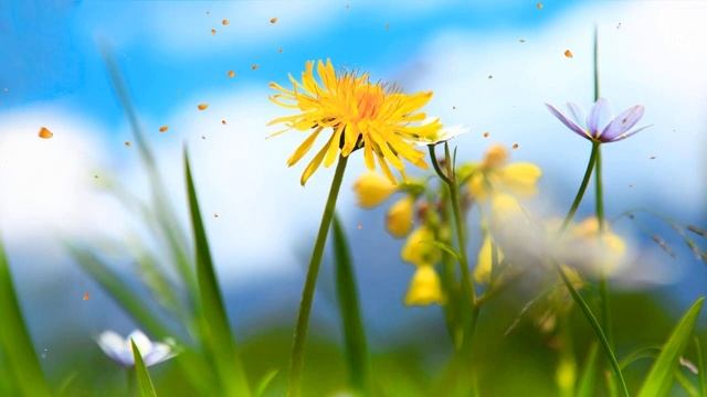 Музыка для сна Медленный темп и звуки моря - Музыка для сна смотреть онлайн