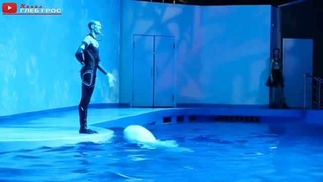 Екатеринбургский океанариум "Дельфин"