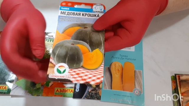 Обзор семян тыквы на сезон 2023 #тыква#обзорсемян смотреть онлайн